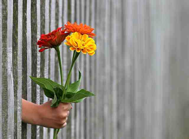 hand reaching through fence holding a red, orange, and yellow flower, image used for ari monkarsh blog on whether or not such widespread philanthropy is sincere