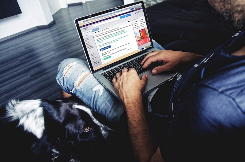 Guy with dog on laptop answering email, image used for Ari Monkarsh blog