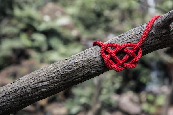 red string tied in a heart sitting on a branch with forest floor beneath it, ari monkarsh role community engagement officer